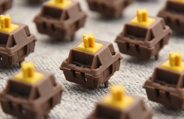 WingTree Switches: The Complete Buying Guide