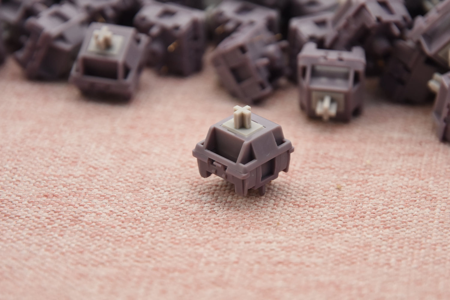 Brown Switches Keyboard: The Complete Guide to Tactile Performance and Everyday Typing