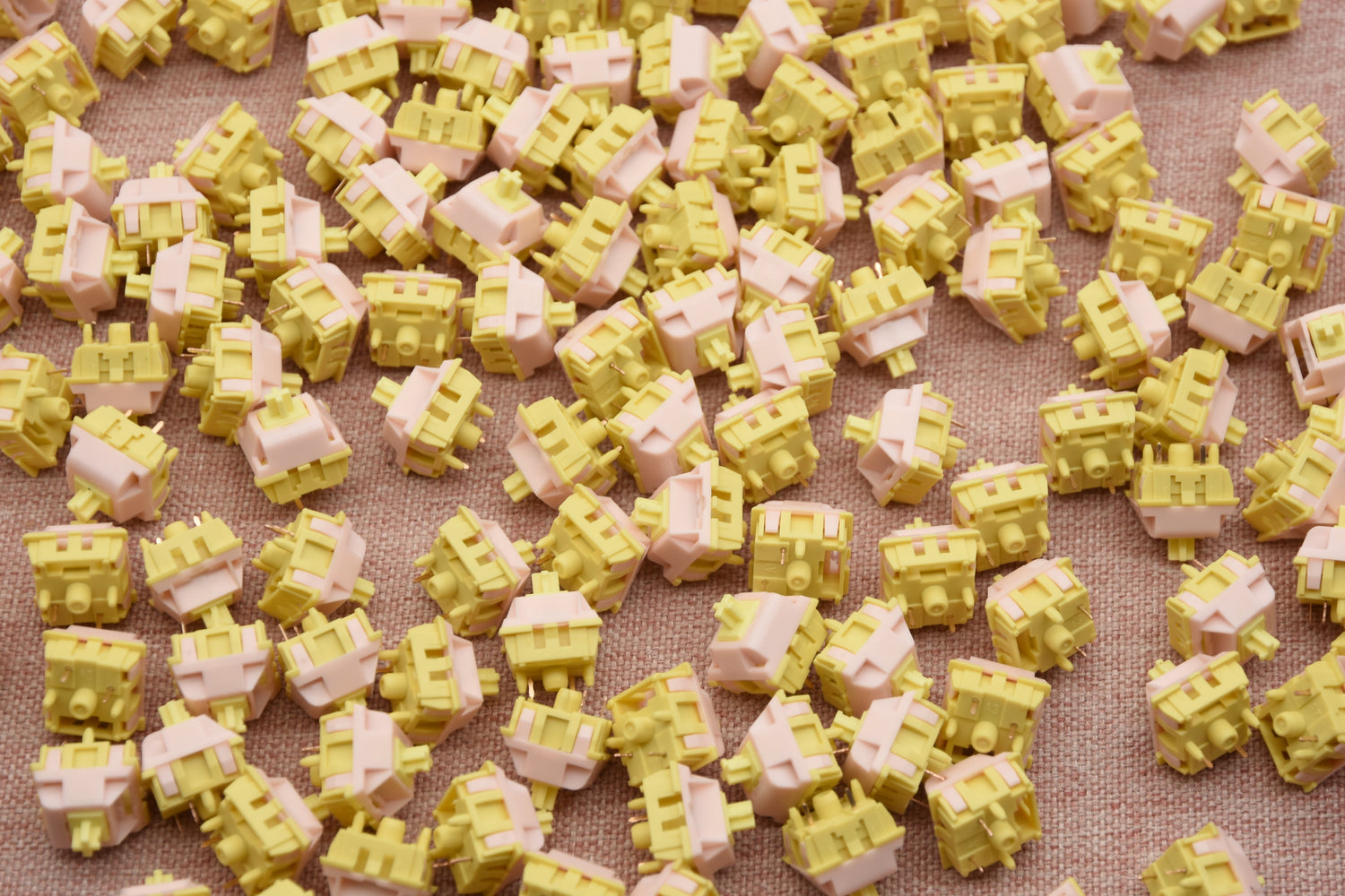 Types of Keyboard Switches: Differences, Features, and How to Choose the Right One