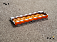 Sensy Lab Supernova 60% Keyboard Kit — AER Back