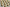 Wingtree Matcha Cream tactile switches, lifestyle view