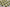 Wingtree Matcha Cream linear switches, lifestyle view