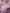 80 Retros GB40 Blush 1990 mechanical keyboard with pink keycap set