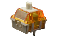 AGS Radiant HE Magnetic Switches